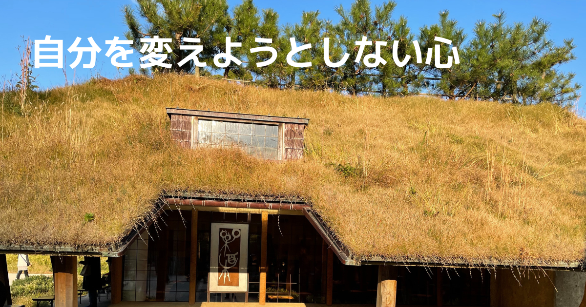 Theme-park-of-the-Taneya