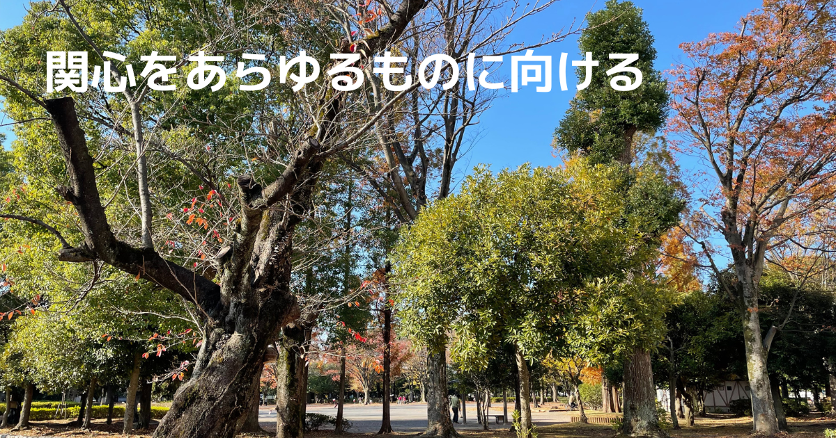 park