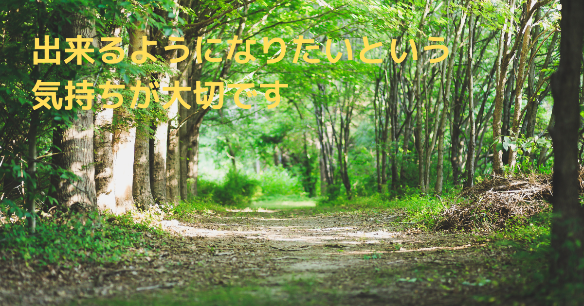 Path-of-the-forest