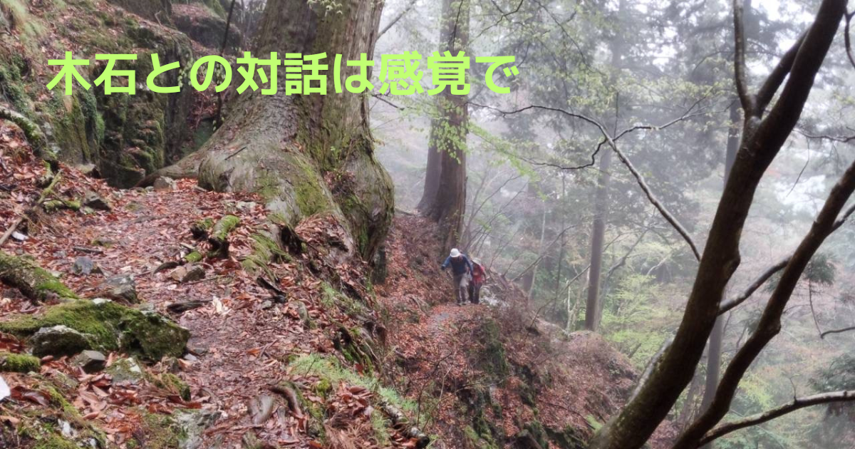 山歩き