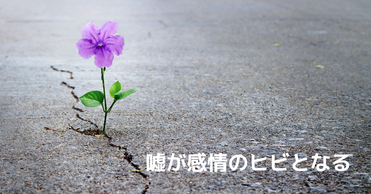 道路の割れ目
