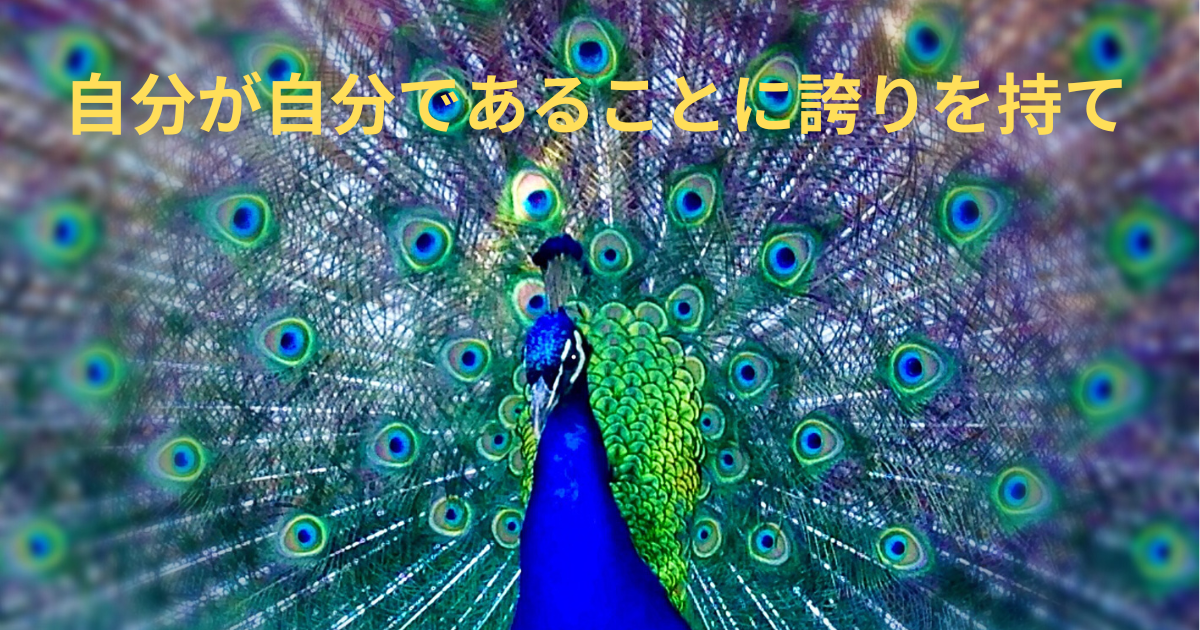 クジャク
