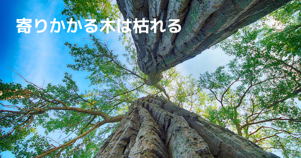 寄り添う樹木